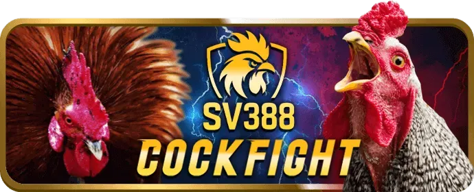 Mẹo cá cược thể thao Man88